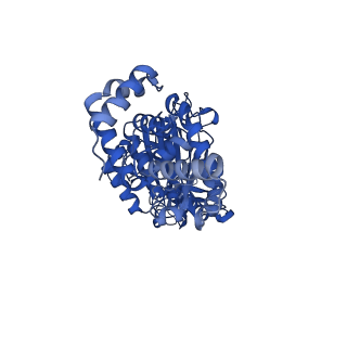 33258_7xko_A_v1-1
F1 domain of epsilon C-terminal domain deleted FoF1 from Bacillus PS3,state1,nucleotide depeleted