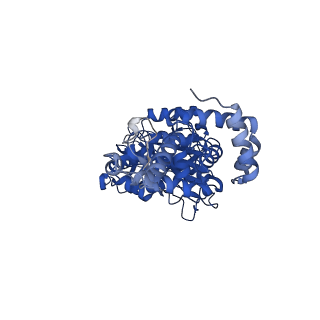 33258_7xko_B_v1-1
F1 domain of epsilon C-terminal domain deleted FoF1 from Bacillus PS3,state1,nucleotide depeleted