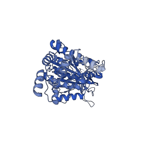 33258_7xko_D_v1-1
F1 domain of epsilon C-terminal domain deleted FoF1 from Bacillus PS3,state1,nucleotide depeleted