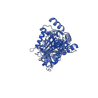 33258_7xko_E_v1-1
F1 domain of epsilon C-terminal domain deleted FoF1 from Bacillus PS3,state1,nucleotide depeleted