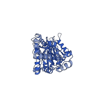 33258_7xko_F_v1-1
F1 domain of epsilon C-terminal domain deleted FoF1 from Bacillus PS3,state1,nucleotide depeleted