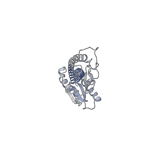33258_7xko_G_v1-1
F1 domain of epsilon C-terminal domain deleted FoF1 from Bacillus PS3,state1,nucleotide depeleted