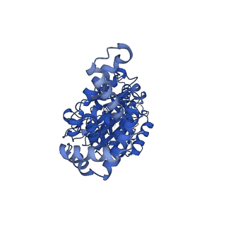 33259_7xkp_C_v1-1
F1 domain of epsilon C-terminal domain deleted FoF1 from Bacillus PS3,state1,unisite condition