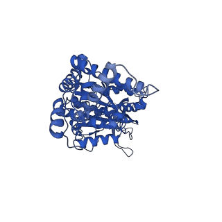 33259_7xkp_D_v1-1
F1 domain of epsilon C-terminal domain deleted FoF1 from Bacillus PS3,state1,unisite condition