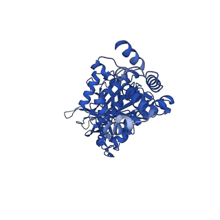 33259_7xkp_E_v1-1
F1 domain of epsilon C-terminal domain deleted FoF1 from Bacillus PS3,state1,unisite condition
