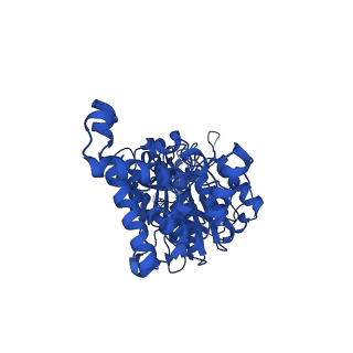 33259_7xkp_F_v1-1
F1 domain of epsilon C-terminal domain deleted FoF1 from Bacillus PS3,state1,unisite condition