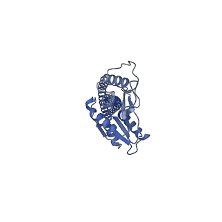 33259_7xkp_G_v1-1
F1 domain of epsilon C-terminal domain deleted FoF1 from Bacillus PS3,state1,unisite condition