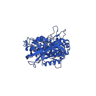 33264_7xkq_B_v1-1
F1 domain of FoF1-ATPase with the down form of epsilon subunit from Bacillus PS3