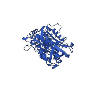 33264_7xkq_C_v1-1
F1 domain of FoF1-ATPase with the down form of epsilon subunit from Bacillus PS3