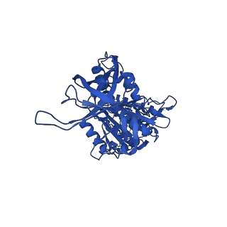 33264_7xkq_E_v1-1
F1 domain of FoF1-ATPase with the down form of epsilon subunit from Bacillus PS3