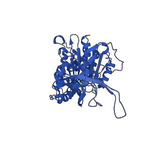 33264_7xkq_F_v1-1
F1 domain of FoF1-ATPase with the down form of epsilon subunit from Bacillus PS3