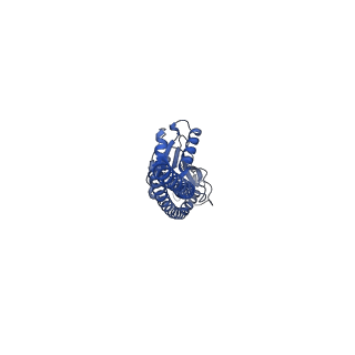 33264_7xkq_G_v1-1
F1 domain of FoF1-ATPase with the down form of epsilon subunit from Bacillus PS3