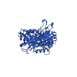 33265_7xkr_B_v1-1
F1 domain of FoF1-ATPase with the up form of epsilon subunit from Bacillus PS3