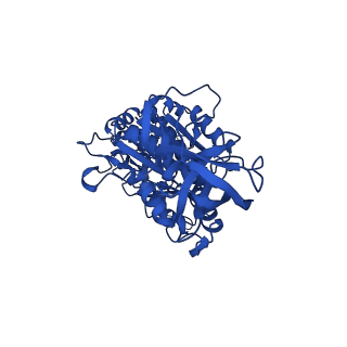 33265_7xkr_C_v1-1
F1 domain of FoF1-ATPase with the up form of epsilon subunit from Bacillus PS3