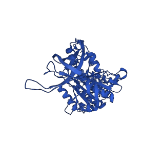 33265_7xkr_E_v1-1
F1 domain of FoF1-ATPase with the up form of epsilon subunit from Bacillus PS3