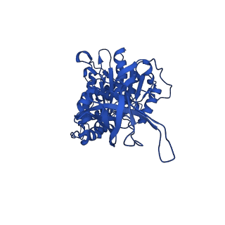 33265_7xkr_F_v1-1
F1 domain of FoF1-ATPase with the up form of epsilon subunit from Bacillus PS3