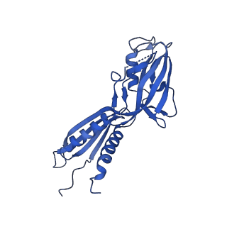 22234_6xl5_B_v1-3
Cryo-EM structure of EcmrR-RNAP-promoter open complex (EcmrR-RPo)