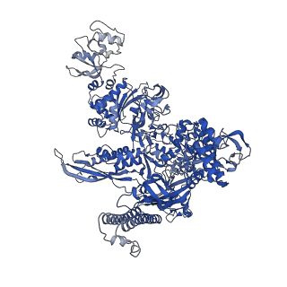 22234_6xl5_C_v1-2
Cryo-EM structure of EcmrR-RNAP-promoter open complex (EcmrR-RPo)