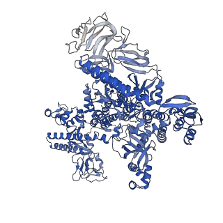 22234_6xl5_D_v1-2
Cryo-EM structure of EcmrR-RNAP-promoter open complex (EcmrR-RPo)