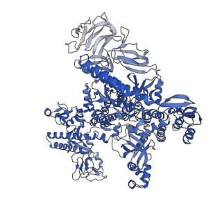 22234_6xl5_D_v1-3
Cryo-EM structure of EcmrR-RNAP-promoter open complex (EcmrR-RPo)