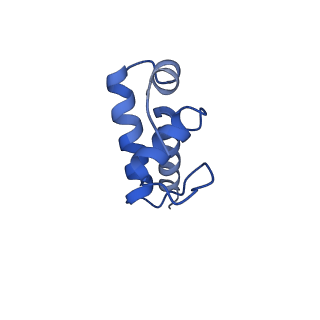 22234_6xl5_E_v1-2
Cryo-EM structure of EcmrR-RNAP-promoter open complex (EcmrR-RPo)