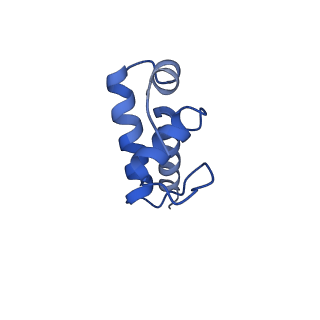 22234_6xl5_E_v1-3
Cryo-EM structure of EcmrR-RNAP-promoter open complex (EcmrR-RPo)