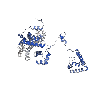 22234_6xl5_F_v1-2
Cryo-EM structure of EcmrR-RNAP-promoter open complex (EcmrR-RPo)