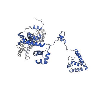 22234_6xl5_F_v1-3
Cryo-EM structure of EcmrR-RNAP-promoter open complex (EcmrR-RPo)