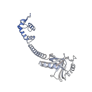 22234_6xl5_G_v1-2
Cryo-EM structure of EcmrR-RNAP-promoter open complex (EcmrR-RPo)