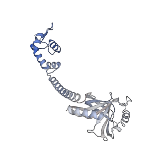 22234_6xl5_G_v1-3
Cryo-EM structure of EcmrR-RNAP-promoter open complex (EcmrR-RPo)