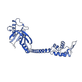 22235_6xl6_H_v1-2
Cryo-EM structure of EcmrR-DNA complex in EcmrR-RPo