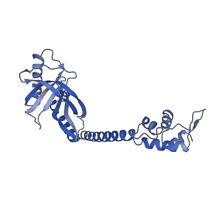 22235_6xl6_H_v1-3
Cryo-EM structure of EcmrR-DNA complex in EcmrR-RPo