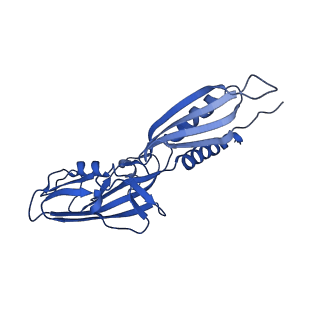 22236_6xl9_A_v1-3
Cryo-EM structure of EcmrR-RNAP-promoter initial transcribing complex with 3-nt RNA transcript (EcmrR-RPitc-3nt)