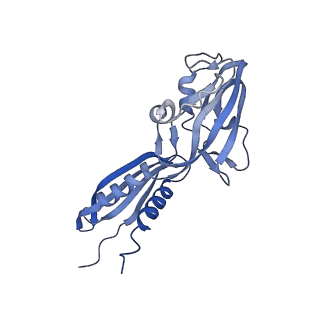 22236_6xl9_B_v1-2
Cryo-EM structure of EcmrR-RNAP-promoter initial transcribing complex with 3-nt RNA transcript (EcmrR-RPitc-3nt)