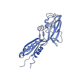 22236_6xl9_B_v1-3
Cryo-EM structure of EcmrR-RNAP-promoter initial transcribing complex with 3-nt RNA transcript (EcmrR-RPitc-3nt)