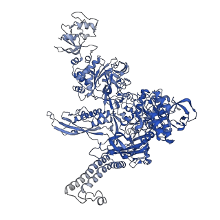 22236_6xl9_C_v1-2
Cryo-EM structure of EcmrR-RNAP-promoter initial transcribing complex with 3-nt RNA transcript (EcmrR-RPitc-3nt)