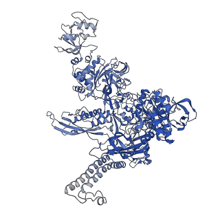 22236_6xl9_C_v1-3
Cryo-EM structure of EcmrR-RNAP-promoter initial transcribing complex with 3-nt RNA transcript (EcmrR-RPitc-3nt)