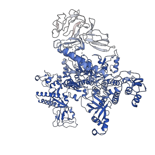 22236_6xl9_D_v1-3
Cryo-EM structure of EcmrR-RNAP-promoter initial transcribing complex with 3-nt RNA transcript (EcmrR-RPitc-3nt)