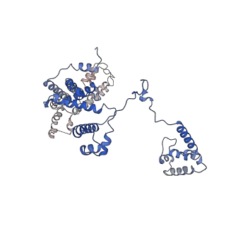 22236_6xl9_F_v1-2
Cryo-EM structure of EcmrR-RNAP-promoter initial transcribing complex with 3-nt RNA transcript (EcmrR-RPitc-3nt)