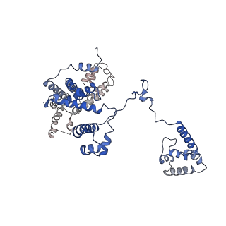 22236_6xl9_F_v1-3
Cryo-EM structure of EcmrR-RNAP-promoter initial transcribing complex with 3-nt RNA transcript (EcmrR-RPitc-3nt)