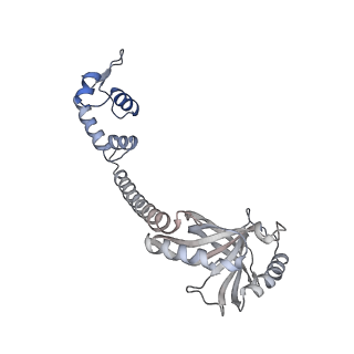 22236_6xl9_G_v1-2
Cryo-EM structure of EcmrR-RNAP-promoter initial transcribing complex with 3-nt RNA transcript (EcmrR-RPitc-3nt)