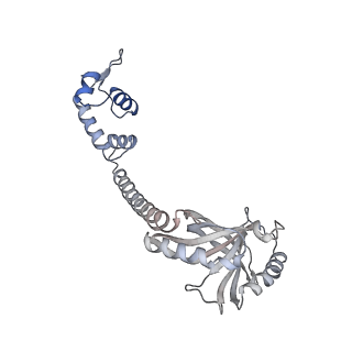 22236_6xl9_G_v1-3
Cryo-EM structure of EcmrR-RNAP-promoter initial transcribing complex with 3-nt RNA transcript (EcmrR-RPitc-3nt)