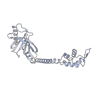 22236_6xl9_H_v1-2
Cryo-EM structure of EcmrR-RNAP-promoter initial transcribing complex with 3-nt RNA transcript (EcmrR-RPitc-3nt)