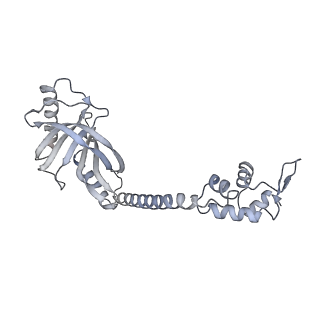 22236_6xl9_H_v1-3
Cryo-EM structure of EcmrR-RNAP-promoter initial transcribing complex with 3-nt RNA transcript (EcmrR-RPitc-3nt)