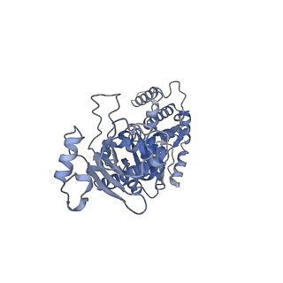 22238_6xlb_B_v1-1
Apo full-length Hsc82 in complex with Aha1