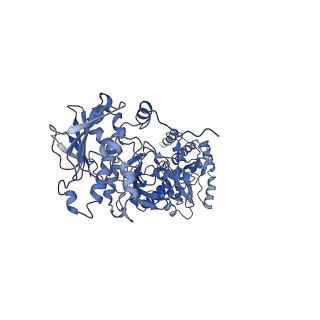 22240_6xld_A_v1-0
Full-length Hsc82 in complex with Aha1 CTD in the presence of AMPPNP