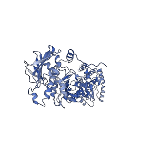 22240_6xld_A_v1-1
Full-length Hsc82 in complex with Aha1 CTD in the presence of AMPPNP