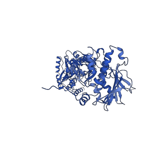 22241_6xle_B_v1-1
Full-length Hsc82 in complex with two Aha1 CTD in the presence of AMP-PNP