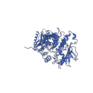 22243_6xlg_A_v1-1
Full-length Hsc82 in complex with two Aha1 CTD in the presence of ATPgammaS