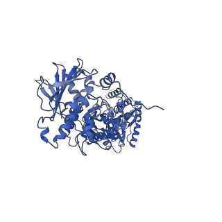 22243_6xlg_B_v1-1
Full-length Hsc82 in complex with two Aha1 CTD in the presence of ATPgammaS